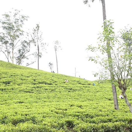 Ella Tea Land View Apartment Exterior foto