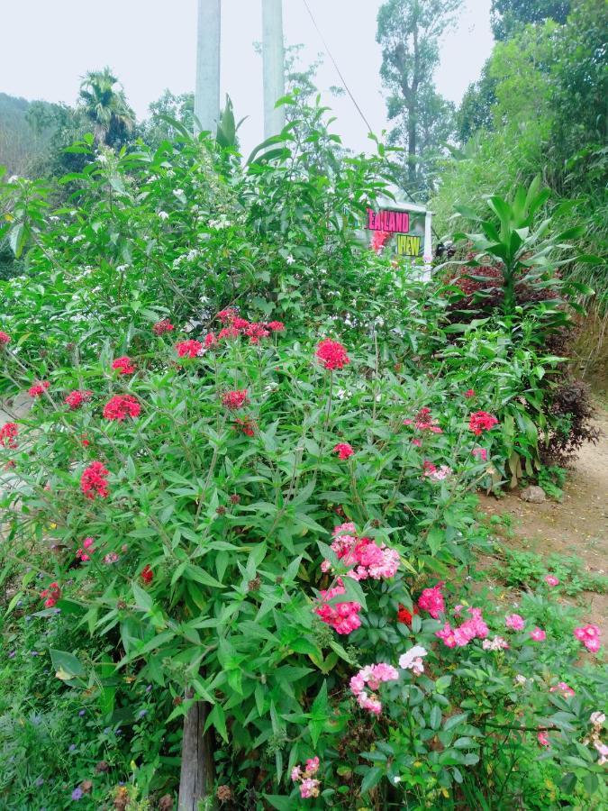 Ella Tea Land View Apartment Exterior foto
