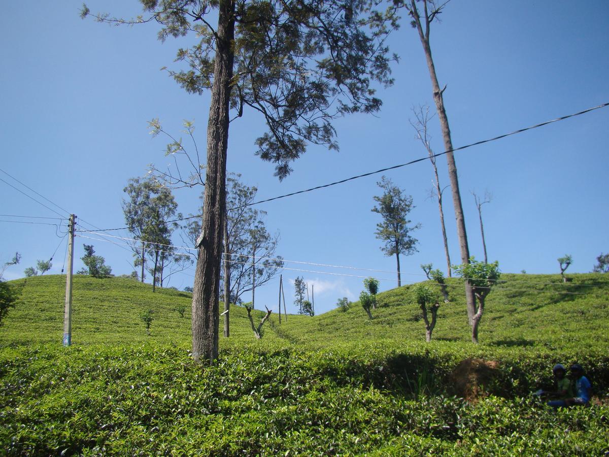 Ella Tea Land View Apartment Exterior foto